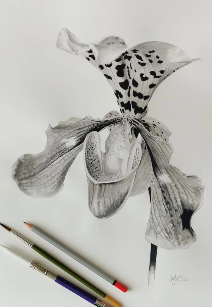 Studie „Orchidee“ in Grautönen, daneben Stifte und Pinsel
